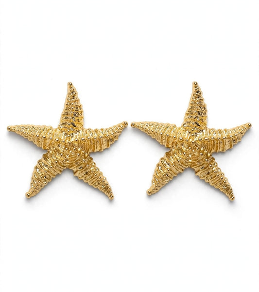 Caravana estrella de mar